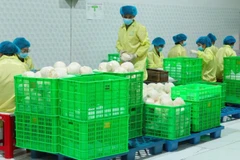 Упаковка кокосов на экспорт на предприятии в провинции Виньлонг. (Фото: nhandan.vn)