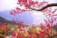 Весенние поездки в первые дни года: куда обязательно стоит съездить