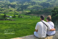 Иностранные туристы с интересом любуются зелёными рисовыми полями в Та Ван. (Фото: ВИА)