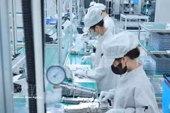 Производственная деятельность на предприятии Bumjim Electronics Vina с 100%-ным корейским капиталом в провинции Куангнинь. Фото: ВИА