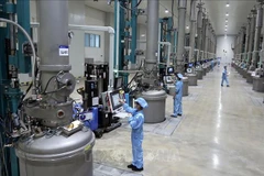 Работает производственная линия по выпуску материалов для изготовления солнечных батарей на предприятии ООО JA Solar Vietnam, с инвестициями из Гонконга (КНР), в промышленном парке Куангчау, провинция Бакнинь. (Фото: ВИА)