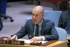 Временный поверенный в делах Постоянного представительства Вьетнама при ООН Нгуен Хоанг Нгуен выступает на заседании. (Фото: ВИА)