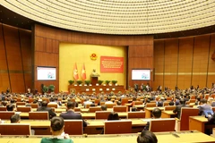 Общий вид конференции. (Фото: ВИА)