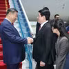 Президент государства Лыонг Кыонг (справа) приветствует Генерального секретаря ЦК Коммунистической партии Китая, Председателя КНР Си Цзиньпина в международном аэропорту Нойбай. (Фото: ВИА)