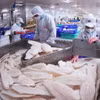 Филе пангасиуса — один из экспортных продуктов Вьетнама в Канаду. Иллюстративное фото: ВИА.