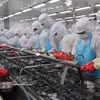 Рыбная продукция — одна из товарных категорий, получивших заметные преимущества после вступления в силу Соглашения о свободной торговле между Вьетнамом и ЕАСТ (VEFTA). Источник: ВИА