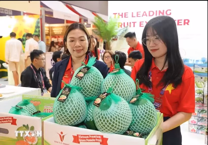 Вьетнамские зеленокожие помело представлены на выставке Asia Fruit Logistica в Гонконге (Китай)