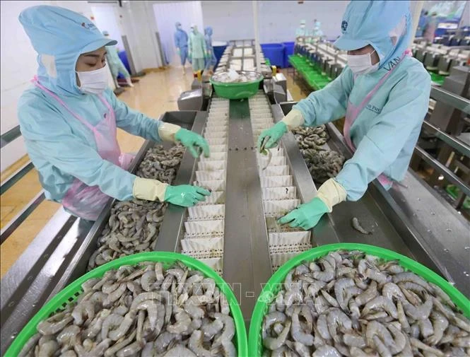 Креветки, обработанные для экспорта на предприятии Minh Phu Seafood Corp (Фото: ВИA)