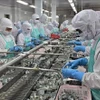 Рабочие перерабатывают замороженные креветки на экспорт на предприятии корпорации Minh Phu Seafood Corporation в южной провинции Камау. (Фото: ВИА)