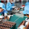 Компания SANYOU VIETNAM Electronics Co., Ltd., полностью принадлежащая китайскому капиталу и расположенная в городе Хюэ, специализируется на производстве электронных компонентов на экспорт. (Фото: ВИA)