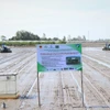 На сегодняшний день почти 400 000 гектаров в дельте Меконга зарегистрированы для внедрения устойчивых процессов выращивания риса. (Фото: ВИА) 