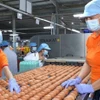 Работники упаковывают яйца на заводе компании QL Vietnam Agroresources Co. Ltd. (Фото: ВИА) 