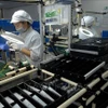 Производственная линия по выпуску электронных устройств и светотехнического оборудования для автомобилей и мотоциклов на предприятии Vietnam Stanley Electric Co., Ltd. компании с японскими инвестициями в Ханое. (Фото: ВИА)