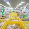 Вьетнам заработал 1,1 млрд долларов США на экспорте креветок в Китай