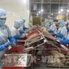 Рабочие производят консервы из тунца на фабрике Seaspimex в Хошимине. (Фото: ВИA)