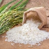 71 тысяча тонн риса получили низкоуглеродную «зелёную» сертификацию