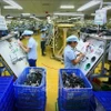 Рабочие производят электронные компоненты в компании Me Tran Vinh Phuc Electronics Company Limited в северной провинции Виньфук (Фото: ВИA)
