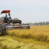 Усилия будут направлены на расширение крупномасштабных, устойчивых и экологичных методов ведения сельского хозяйства (Иллюстративное изображение. Источник: ВИA)