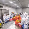 Рабочие перерабатывают фрукты на экспорт на предприятии Чаньтху в общине Чолон провинции Виньлонг. (Фото: ВИА)