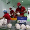 Рабочие упаковывают свежие кокосы для экспорта на перерабатывающем предприятии в провинции Виньлонг. (Фото: ВИА)