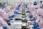 Рыбное хозяйство Вьетнама диверсифицирует экспортные рынки и продукцию. Фото: VASEP.
