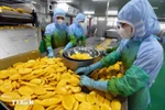 Переработка сельскохозяйственной продукции на экспорт. Фото: ВИА.