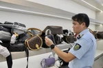Господин Чан Вьет Хунг, начальник отдела по профессиональной деятельности Департамента управления и развития внутреннего рынка, проверяет товары. (Фото: Министерство промышленности и торговли)