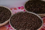 Качественный кофе Робуста из Жалай был представлен на фестивале кофе Gia Lai Coffee Festival 2025 вечером 30 апреля 2025 года. Фото: ВИА.