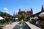 Фестиваль «Симфония тропических красок» в Москве. Фото: ВИА.