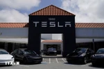 Один из автосалонов Tesla. (Фото: ВИА)