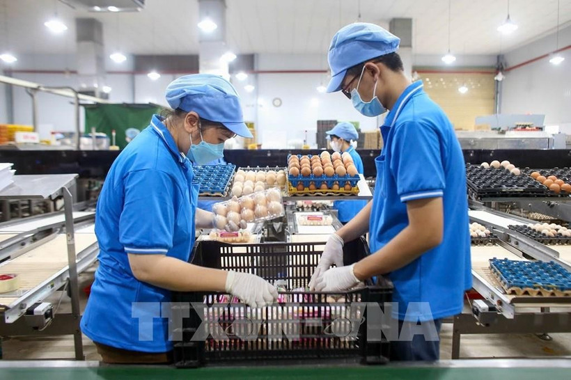 Индекс потребительских цен за 10 месяцев 2025 года увеличился на 3,27%. Фото: ВИА.