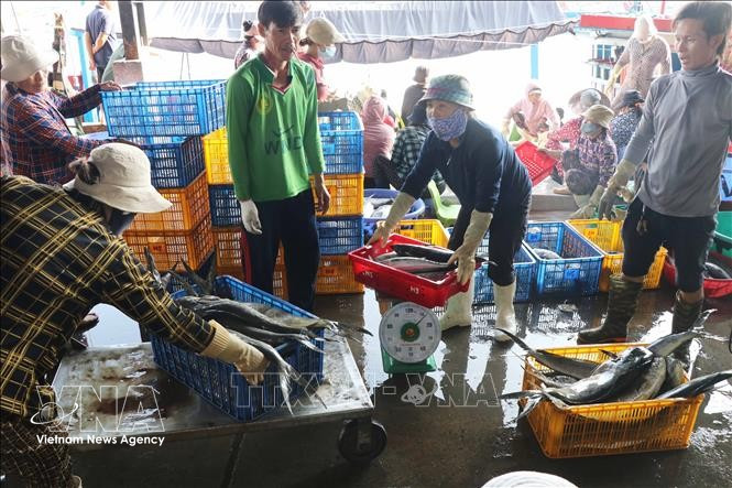 Перекупщики закупают рыбу в порту Хонро. Фото: ВИА.