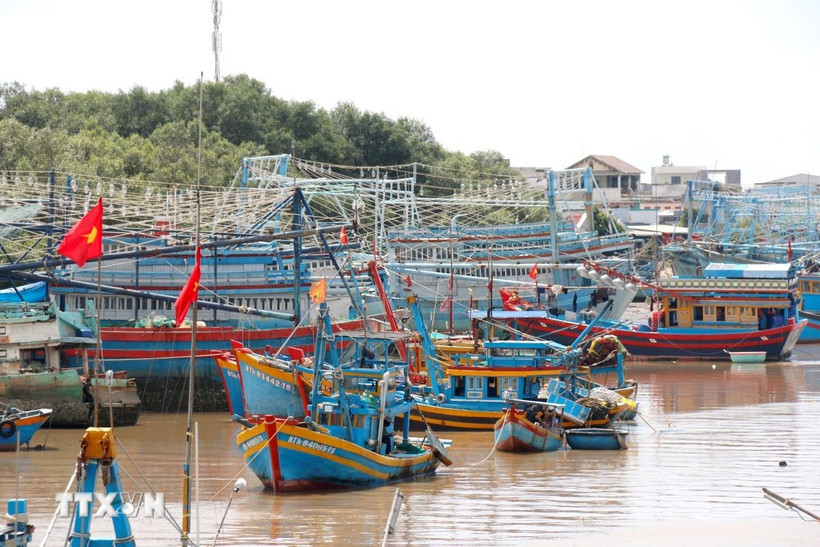 Преодоление «жёлтой карточки» ННН-промысла на основе цифровых платформ управления рыболовными судами. Фото: ВИА.