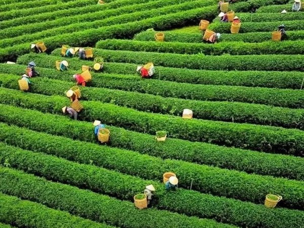 Иллюстративное фото. Фото: ВИА.