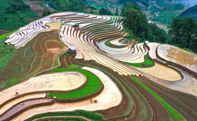 Очарование террасных рисовых полей в сезон разлива воды в Каофа. Фото: ВИА.