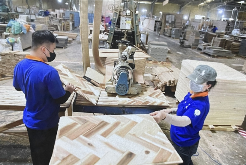 Производство древесных панелей на деревообрабатывающем предприятии «Тхуан Ан». Фото: ВИА.
