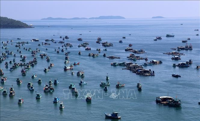 Рыболовные суда рыбаков в акватории Антхой города Фукуок (провинция Кьенгянг). Фото: ВИА.