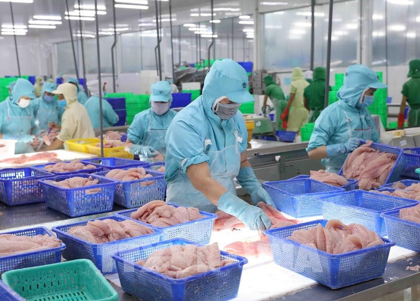 Экспорт морепродуктов продолжает демонстрировать устойчивый рост. (Фото: ВИА)