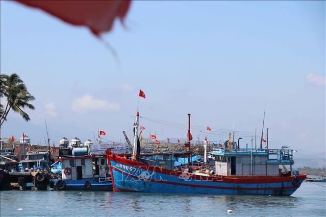 Министерство сельского хозяйства и окружающей среды направило документ о вводе в эксплуатацию системы контроля рыболовных судов и рыбаков, участвующих в деятельности, через приложение VNeID. Иллюстративное фото: ВИА.