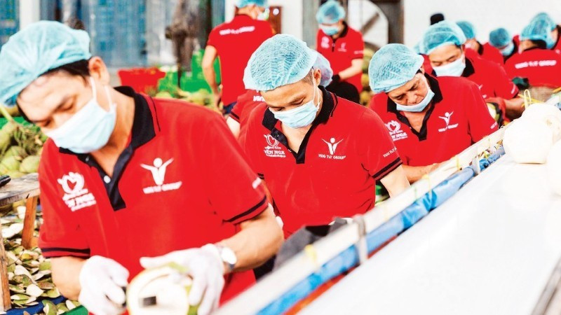 Предварительная обработка кокосов для экспорта на предприятии Vina T&T Group. Фото: nhandan.vn.