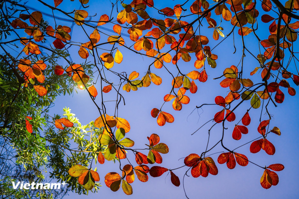 Когда опускается ночь, Ханой открывает другой свой облик, но такой же яркий и многокрасочный. (Фото: Минь Шон/Vietnam+)
