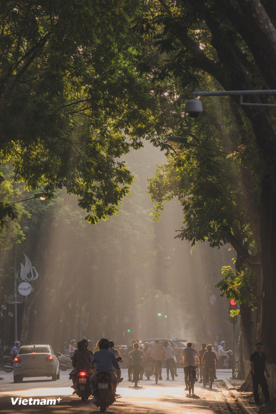 Осень, пожалуй, именно то время года, по которому тоскуют сильнее всего. Осень в Ханое - это дыхание задумчивости, жёлтые листья индийского миндаля на улицах и лёгкий аромат цветов хоа суа, тот самый особый запах, который заставляет скучать по городу тех, кто уехал далеко. Осень - это ещё и пора удивительно прекрасных солнечных дней. (Фото: Минь Шон/Vietnam+)