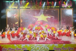 Тэт Бинь Нго 2026 приходит во все уголки Вьетнама