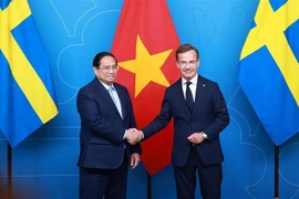Премьер-министр Фам Минь Тьинь провёл переговоры с Премьер-министром Швеции Ульфом Кристерссоном (Фото: ВИА)