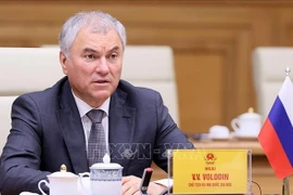 Председатель Государственной Думы Вячеслав Володин готовится к визиту во Вьетнам (Фото: ВИА)