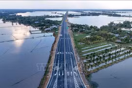 Общий вид участка скоростной автомагистрали Кантхо – Камау, проходящего через рисовые поля и фруктовые сады (Фото: ВИА)