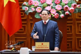 Премьер-министр Фам Минь Тьинь провёл пятое заседание Руководящего комитета по строительству АЭС (Фото: ВИА)