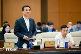 Министр науки и технологий Нгуен Манх Хунг (Фото: ВИА)