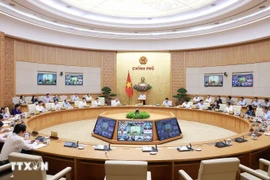 Очередное заседание правительства в июле 2025 года (Фото: ВИА)