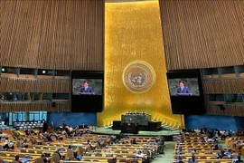Посол До Хунг Вьет выступает на пленарном заседании Генеральной Ассамблеи ООН (Фото: ВИА)
